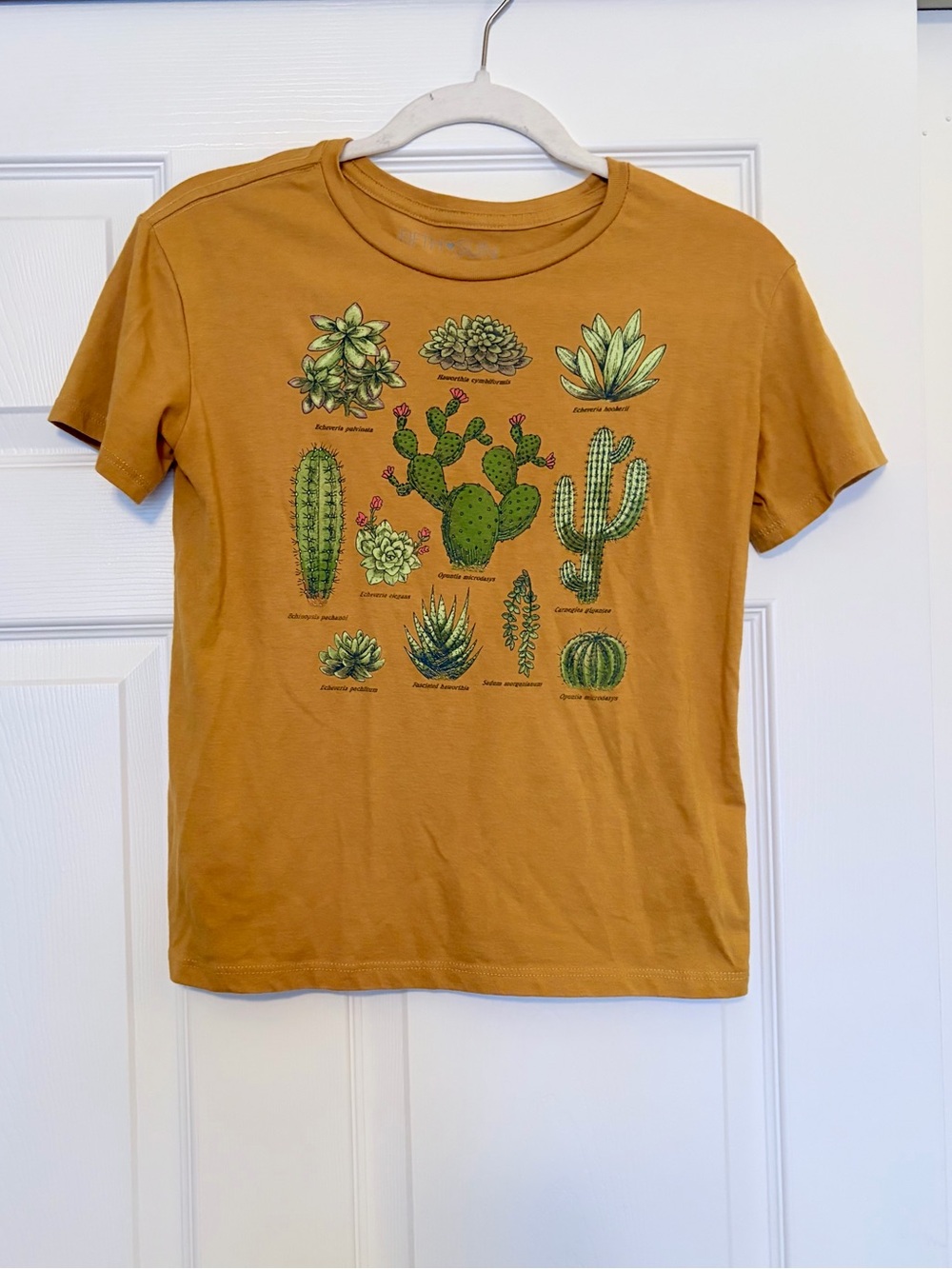 Mustard Yellow Cacti Graphic Tee
